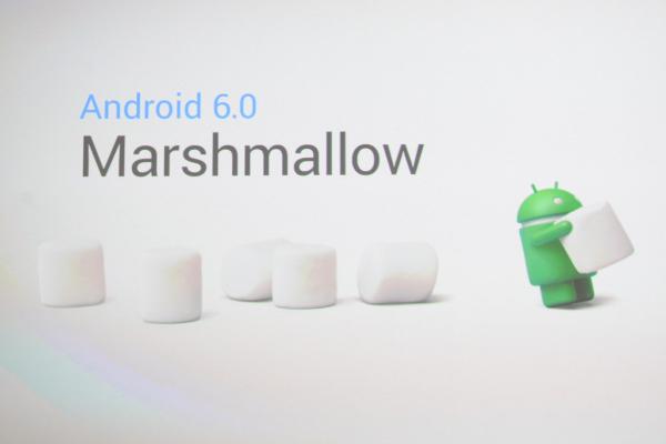 Marshmallow 01